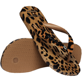 Chinelo Havaianas Dolce&Gabbana Leopard
