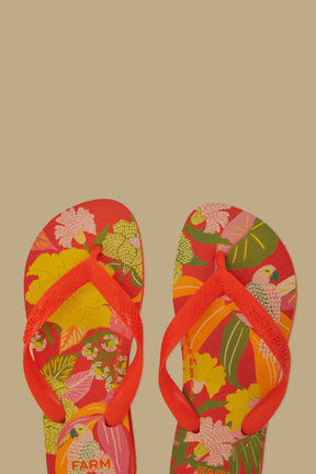 Farm Ararinhas Havaianas Sandals
