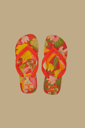 Farm Ararinhas Havaianas Sandals
