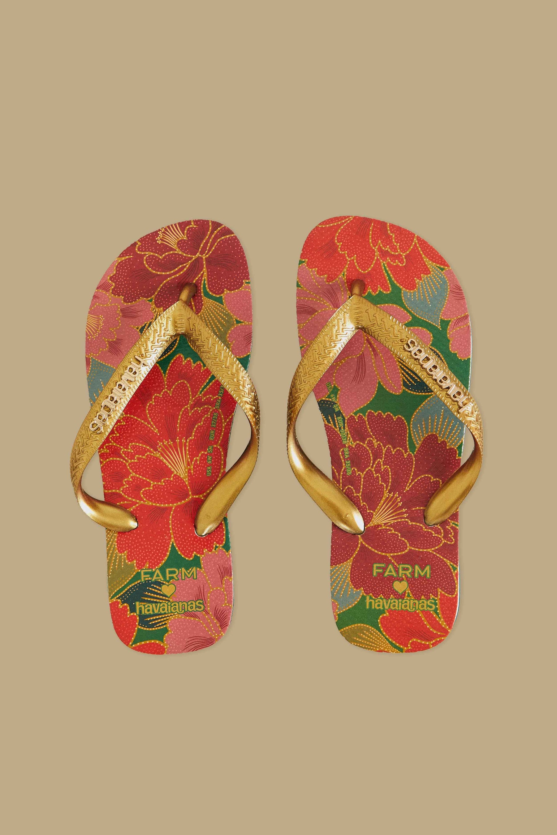 Farm Chita Solar Havaianas Sandals
