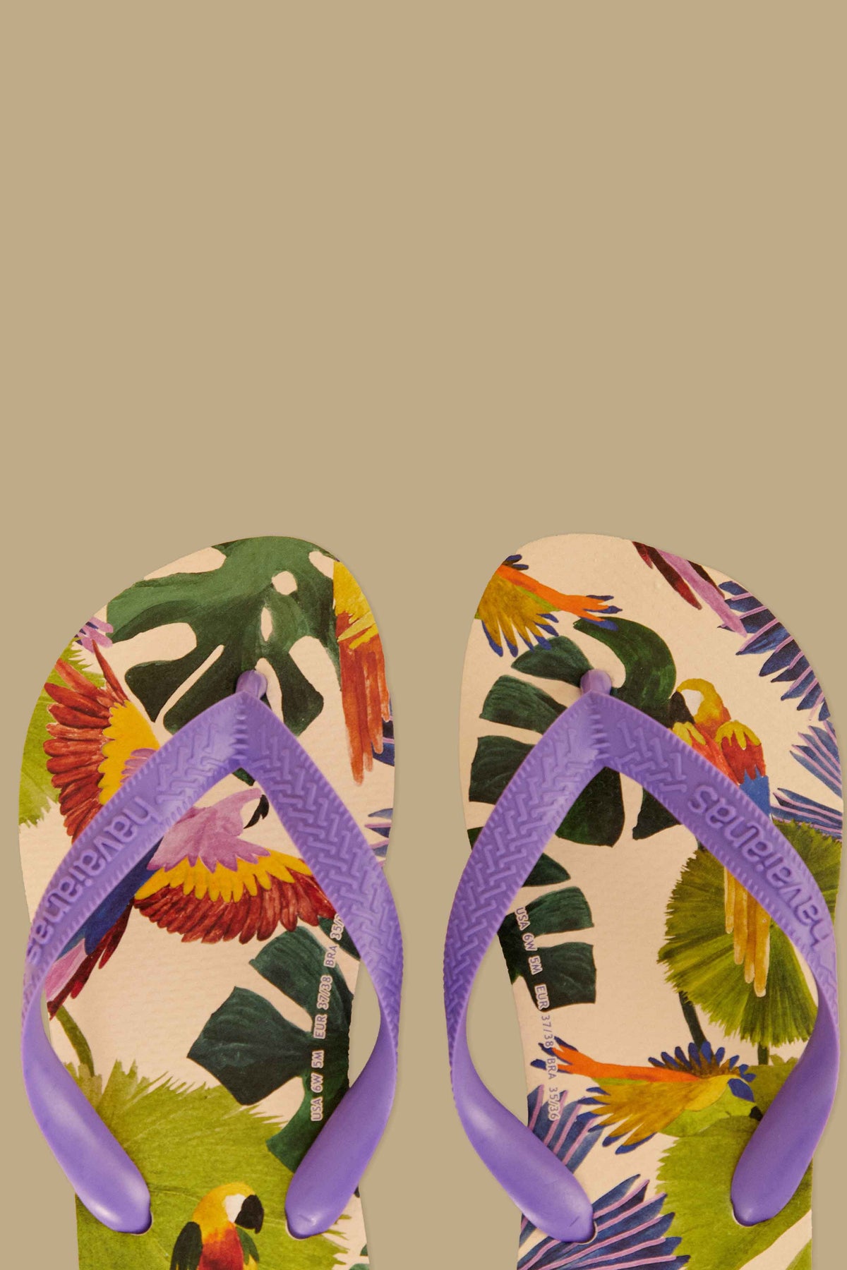 Farm Passaros Pintados Havaianas Sandals