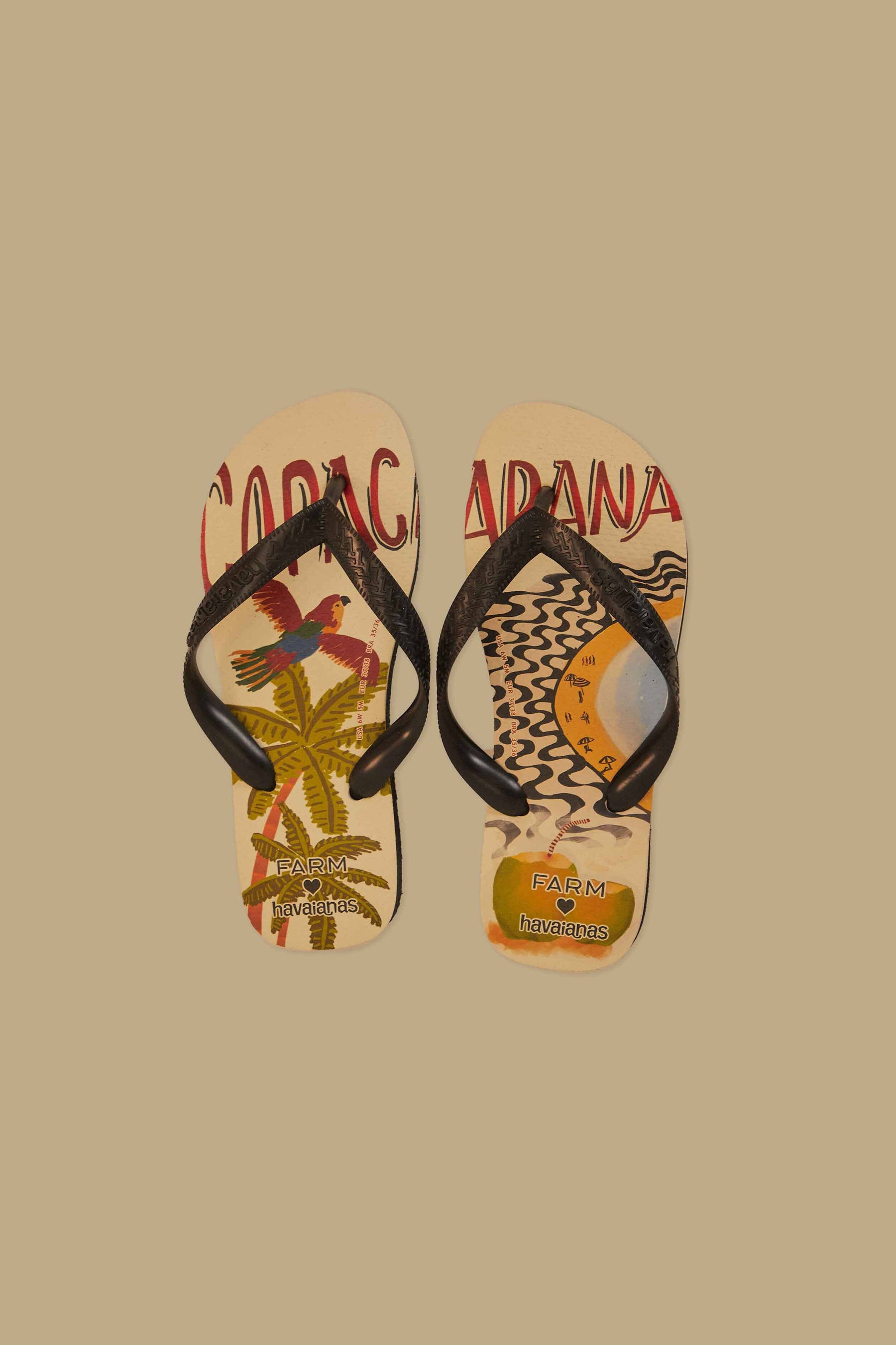 Chinelo Havaianas Farm Jardim de Porcelana